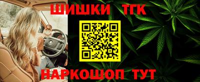 винт Сланцы