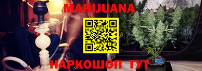 винт Сланцы