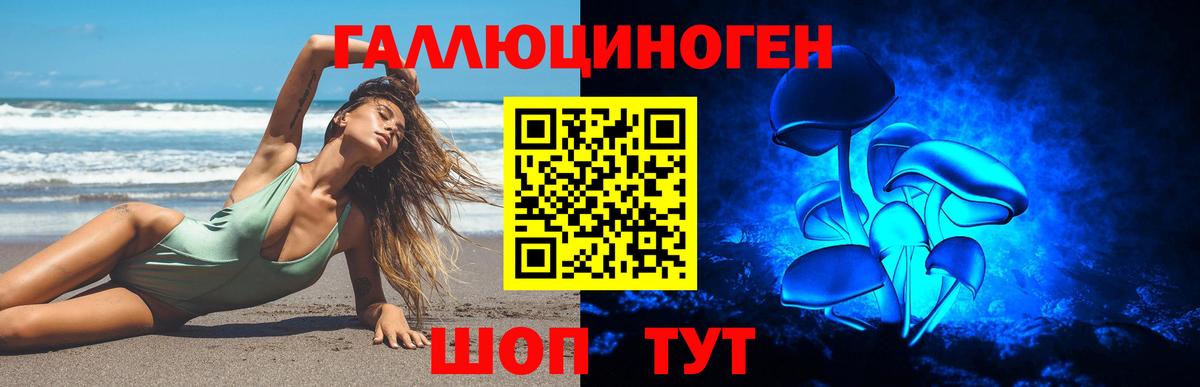 Хасавюрт  Галлюциногенные грибы мицелий  Вход с VPN 